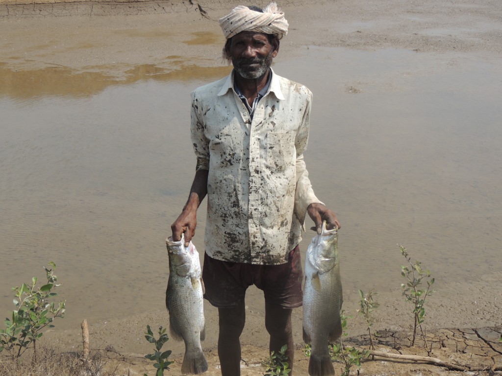 The Subtle Art of Scaling Up Climate Adaptation