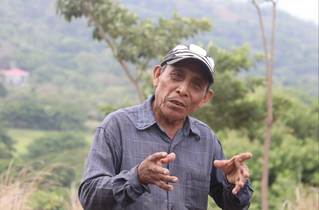 [UNDP]: Harvest and Take Care of the Environment