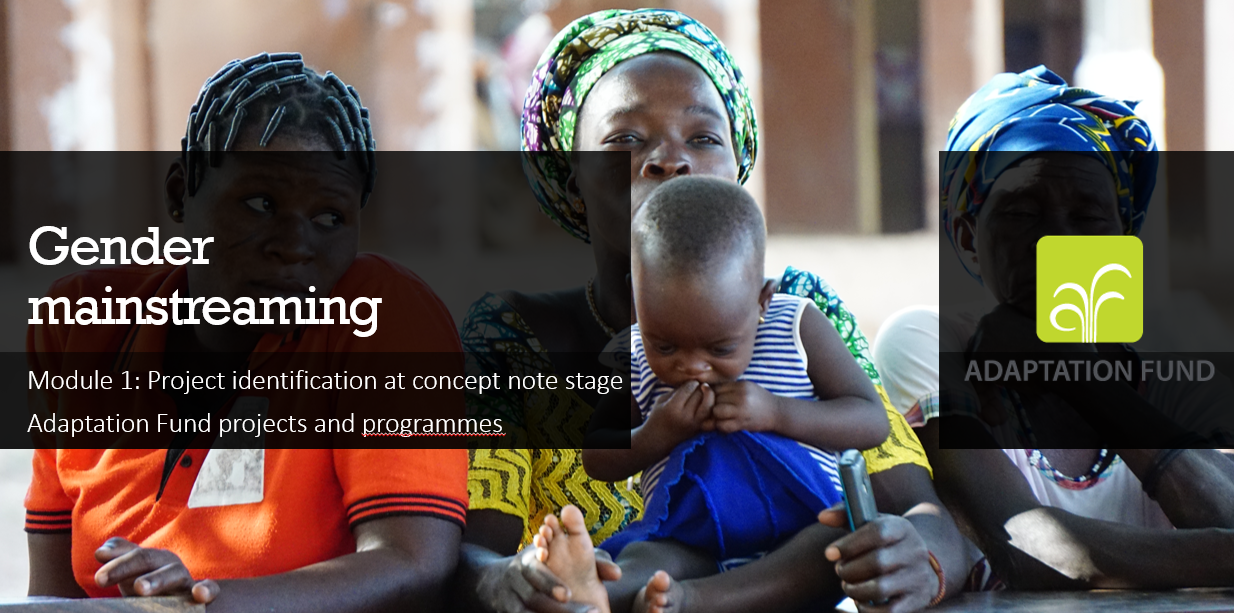 Gender Mainstreaming E course Adaptation Fund