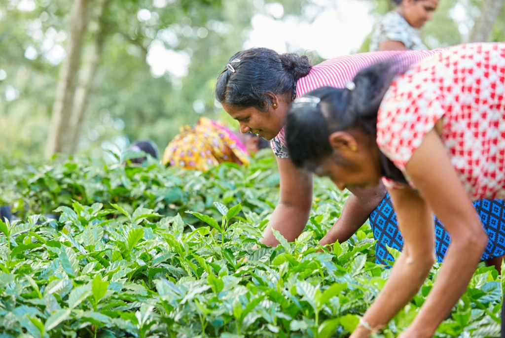 Adaptation Fund’s New E-Course Aims at Strengthening Capacities to Develop Gender Mainstreaming across Project Lifecycles