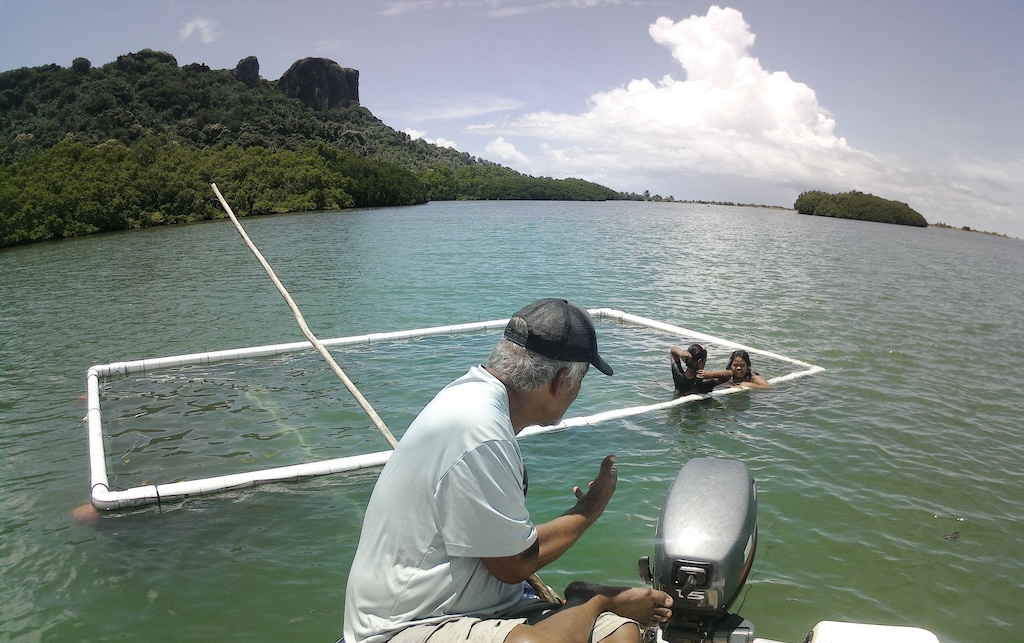 Innovation Adaptation Fund