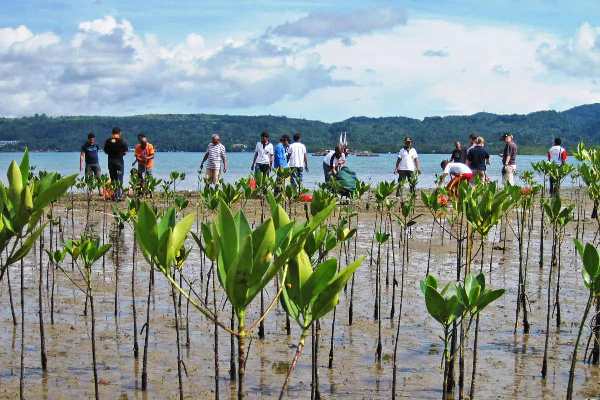 Adaptation Futures 2025 Adaptation Fund