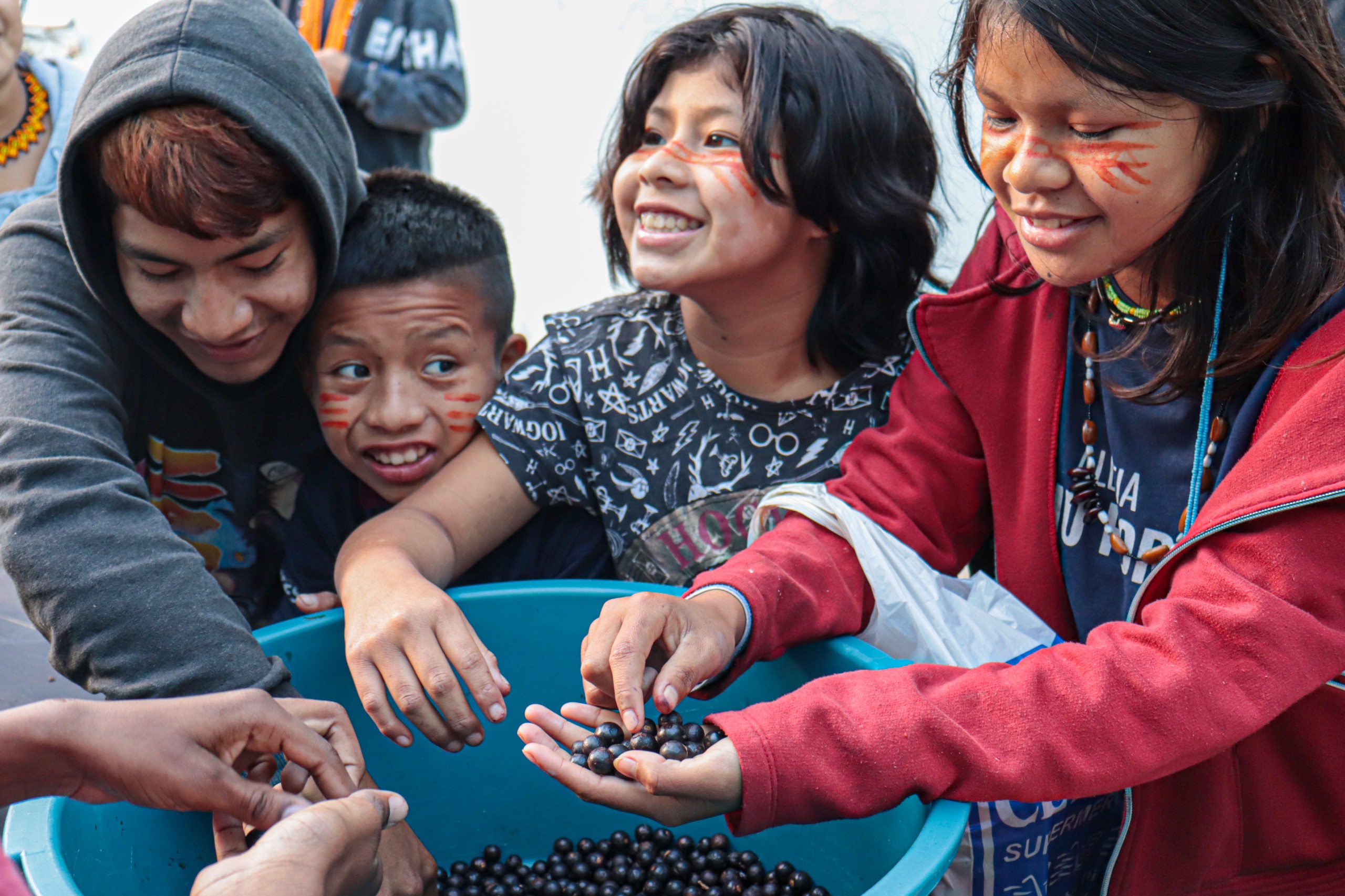 Adaptation Fund at COP30