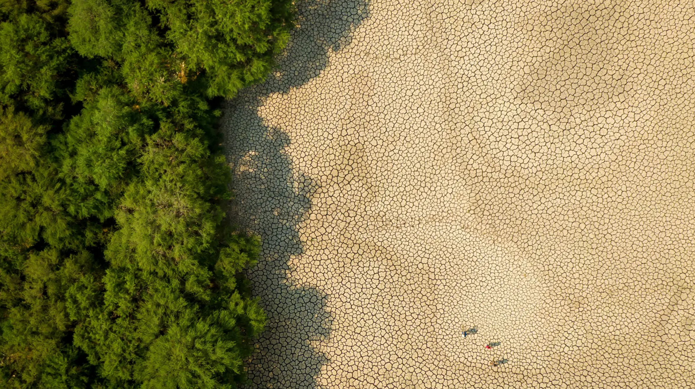 [NDC Partnership] New Guidance Helps Countries Plan and Mobilize Finance for Adaptation