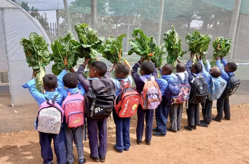 Young South Africans take up sustainable agriculture for food security