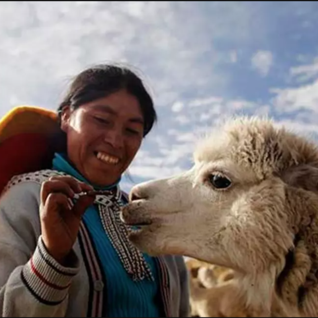 CAF Peru Project