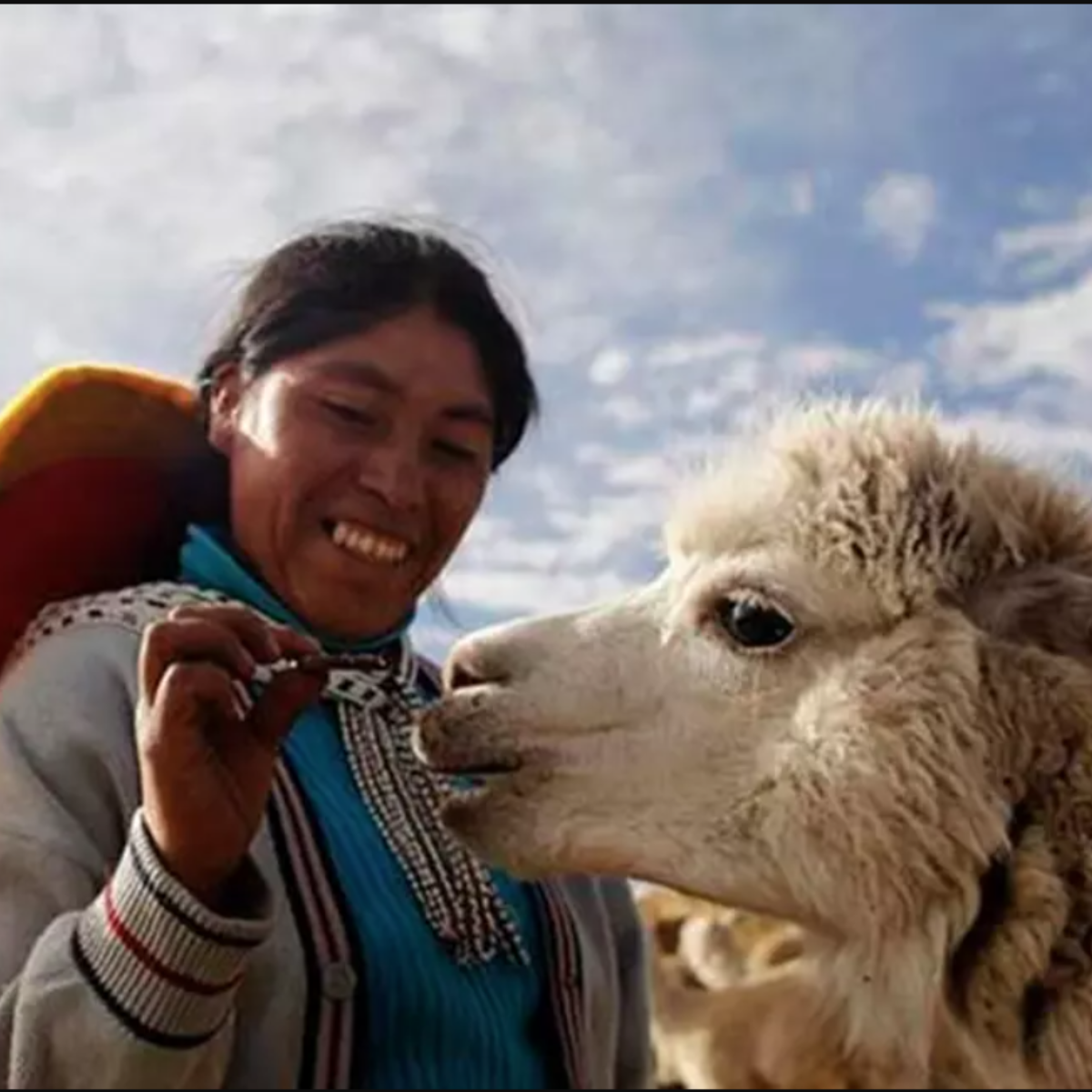 CAF Peru Project